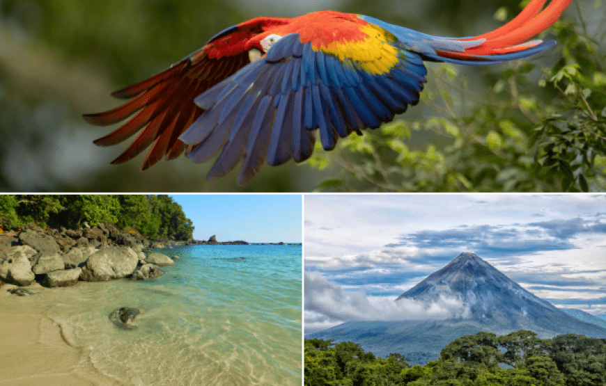 Costa Rica Adventure Experience for Nature Lovers in 9 Days