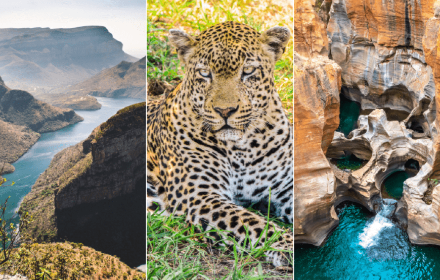 South Africa Safari: Kruger to Cape Town 7-Day Adventure