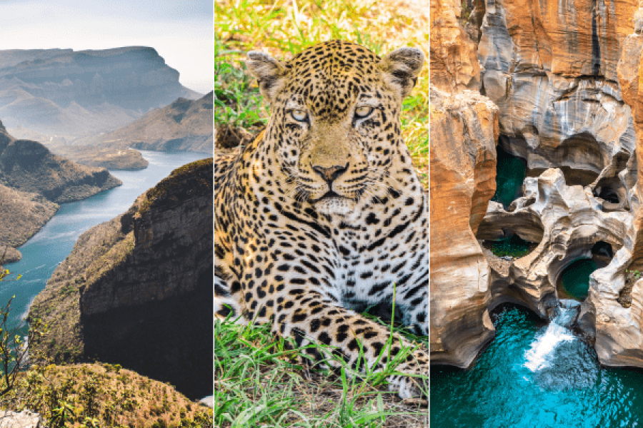 South Africa Safari Kruger to Cape Town 7-Day Adventure latin spirit travel and tours