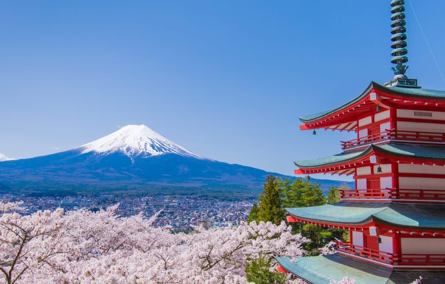 Tokyo to Mount Fuji: 4-Day Cultural Journey Through Japan