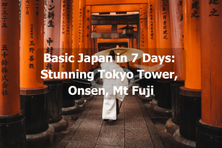 Basic Japan in 7 Days Stunning Tokyo Tower, Onsen, Mt Fuji