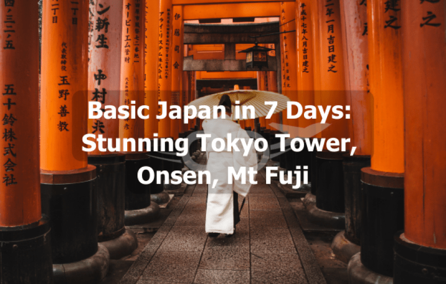 Basic Japan in 7 Days: Stunning Tokyo Tower, Onsen, Mt Fuji