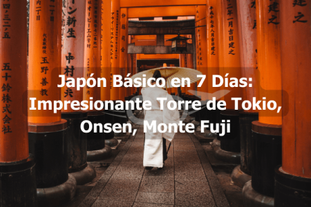 Japón Básico en 7 Días: Impresionante Torre de Tokio, Onsen, Monte Fuji latin spirit travel agency