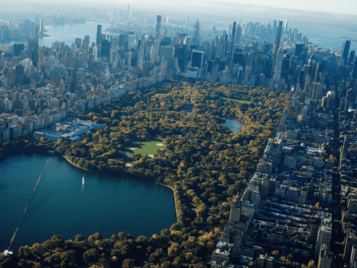 ¿Qué hacer en Central Park Nueva York?