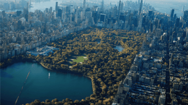 ¿Qué hacer en Central Park Nueva York?