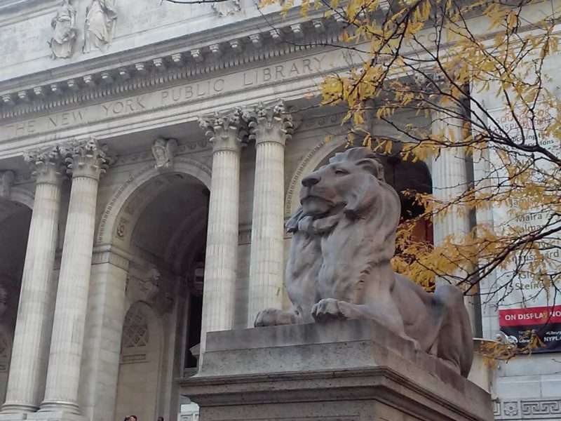 new york public library stephen a schawarzman