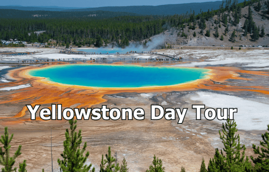 Yellowstone National Park Day Tour – 8 Amazing Places