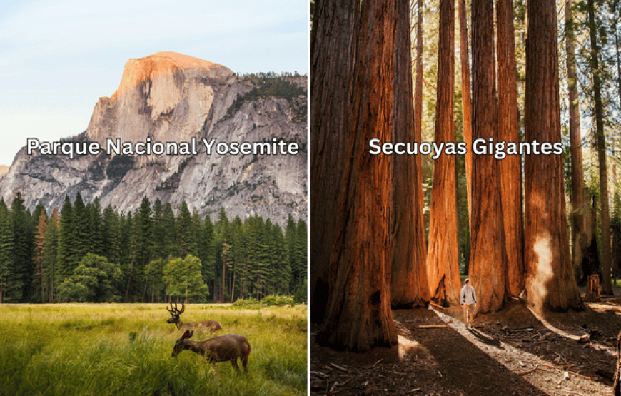 Yosemite y las Secuoyas Gigantes – Impresionante Tour de 15 Horas