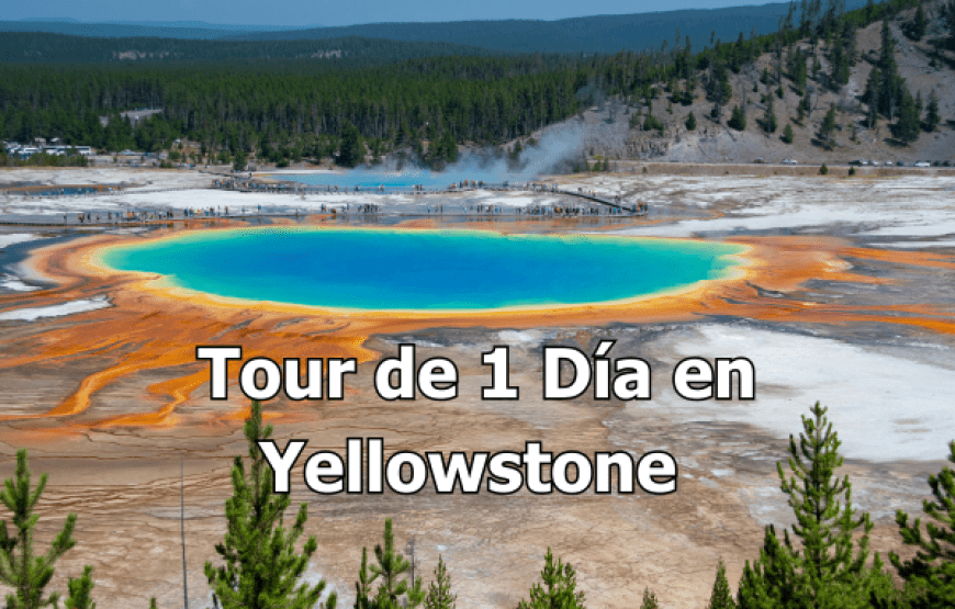 Tour al Parque Nacional Yellowstone: En 1 Día Visita 8 Lugares Increíbles