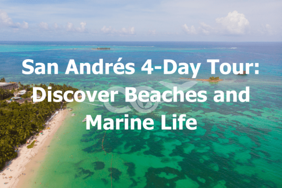 San Andrés 4 Day Tour Discover Beaches and Marine Life