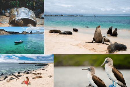 Galápagos Tour: 5 Días de Aventura en 3 Islas
