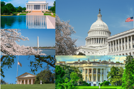 1-Day Washington DC Tour: Monuments, Museums & More