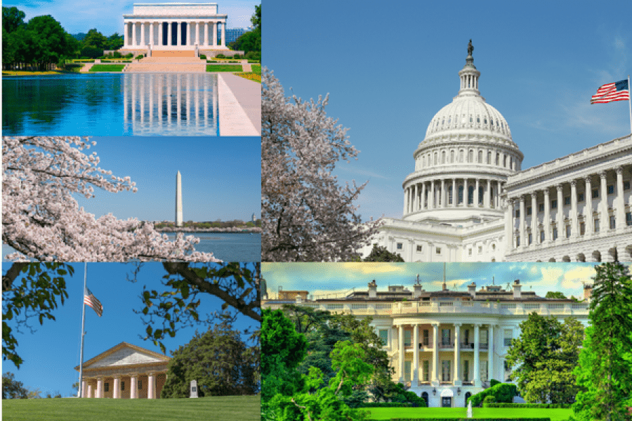 1-Day Washington DC Tour: Monuments, Museums & More