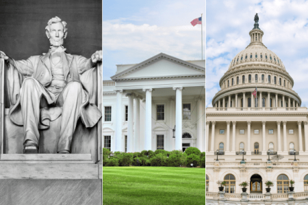 Washington DC Day Trip from NYC 1-Day Guided Tour spirit travel and tours
